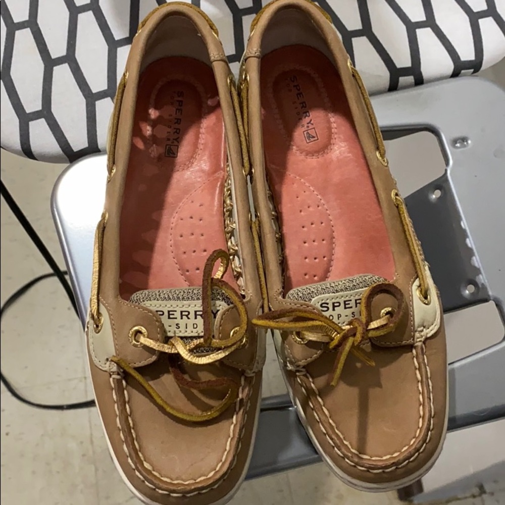 Angelfish Sperry